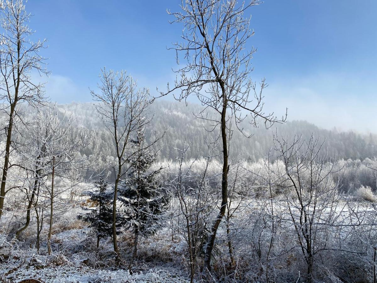Pokoje Goscinne Pod Jaworem - Obok Pieknego Szlaku Wzdluz Rzeki Bialka, 1Km Do Stokow Kotelnica Luaran gambar