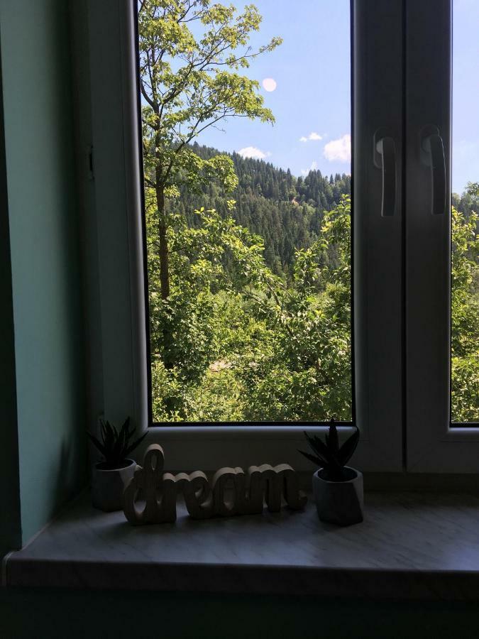 Pokoje Goscinne Pod Jaworem - Obok Pieknego Szlaku Wzdluz Rzeki Bialka, 1Km Do Stokow Kotelnica Luaran gambar